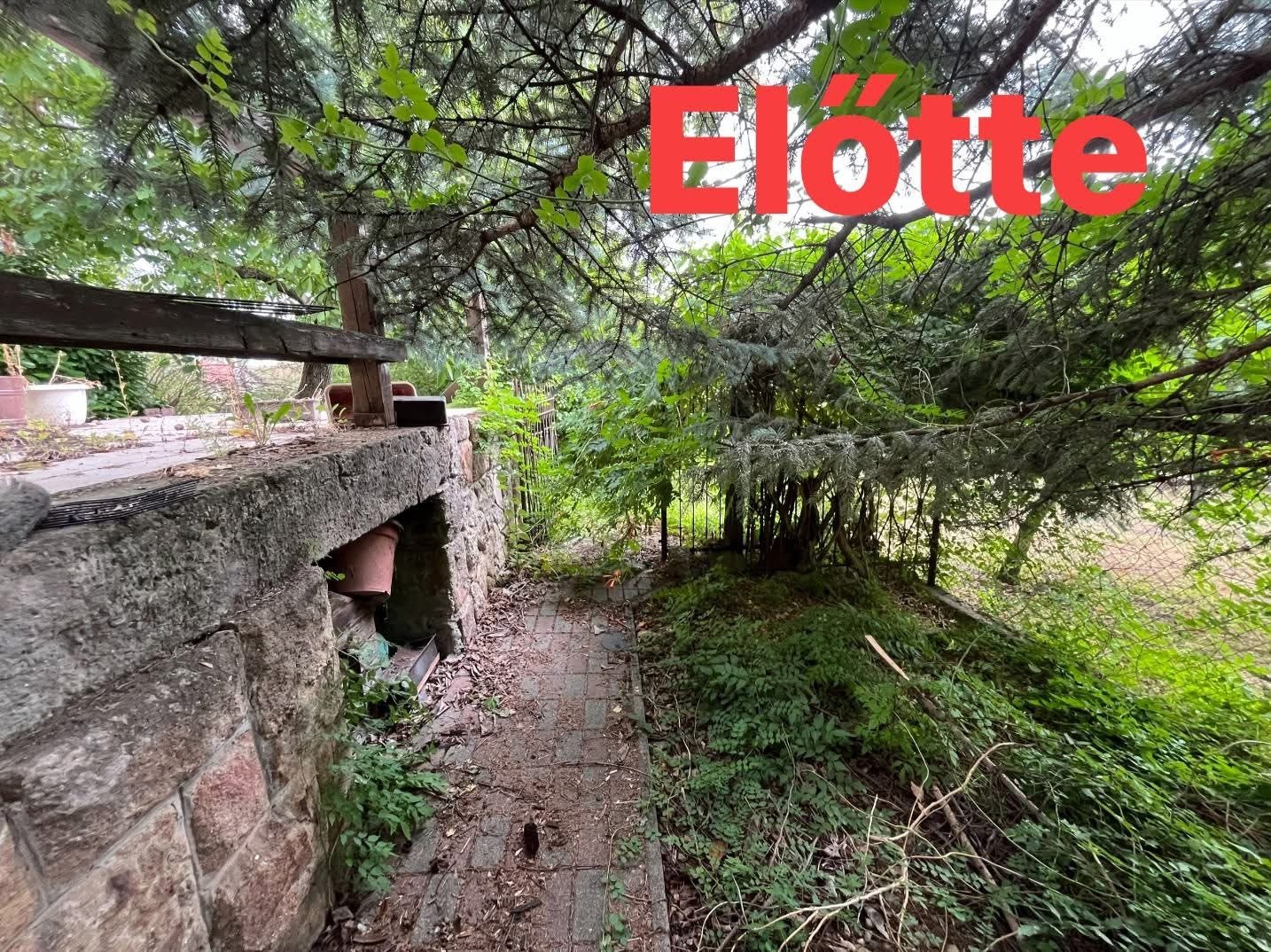 Oldalkert rendbetétel előtt